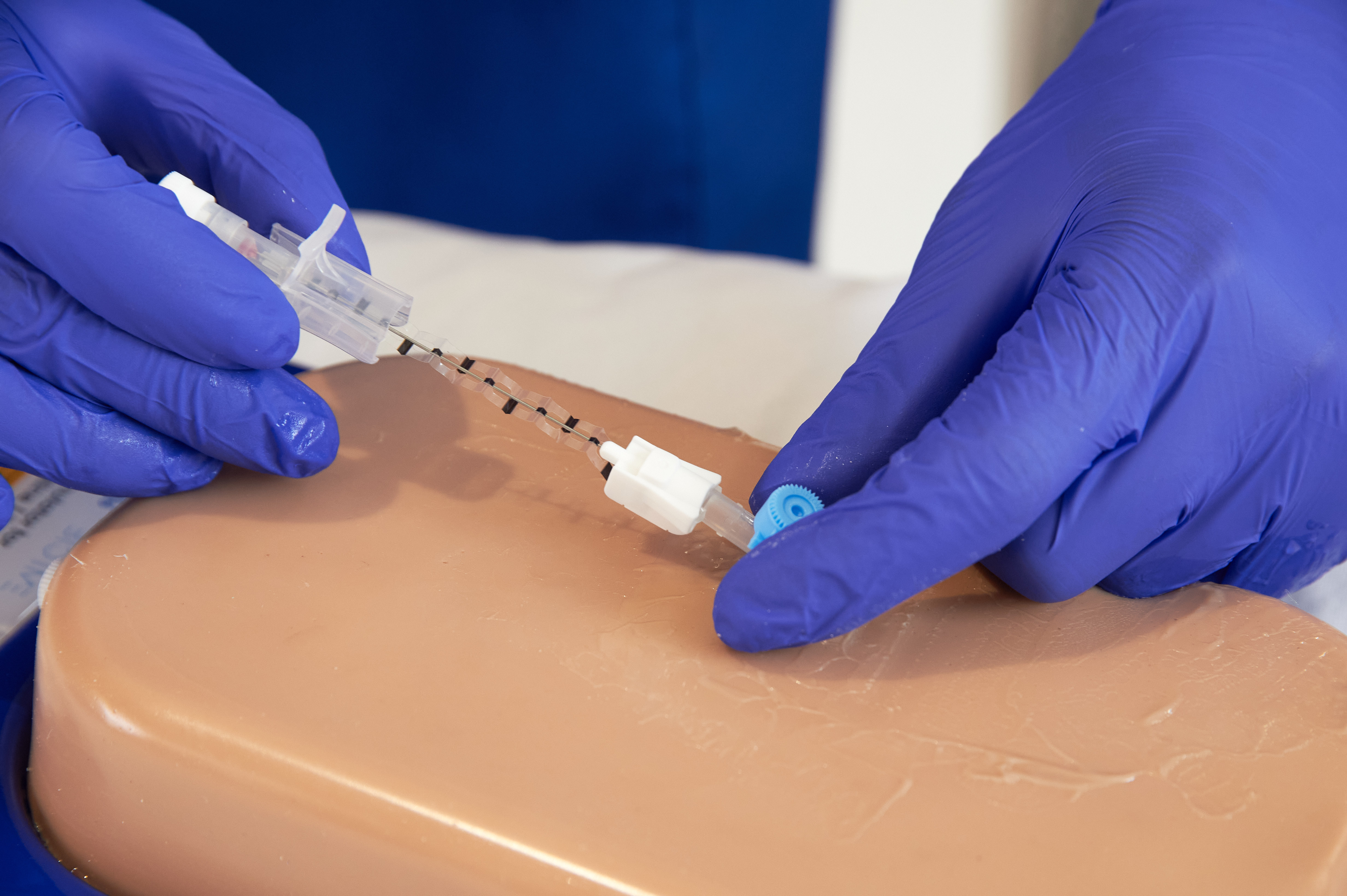 Central Access Ultrasound Simulator with Calcifications, Light