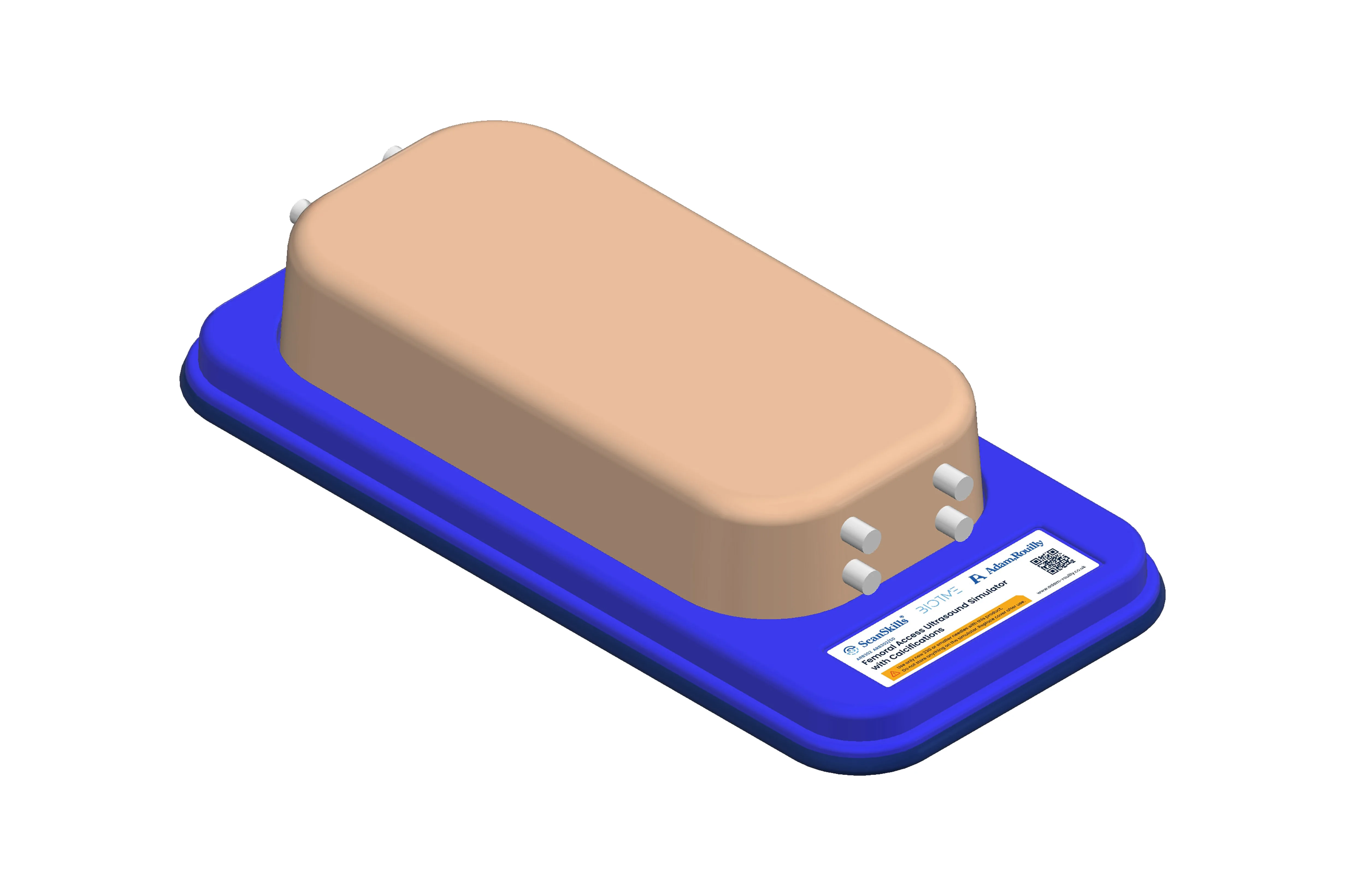 Femoral Access Ultrasound Simulator with Calcifications, Light
