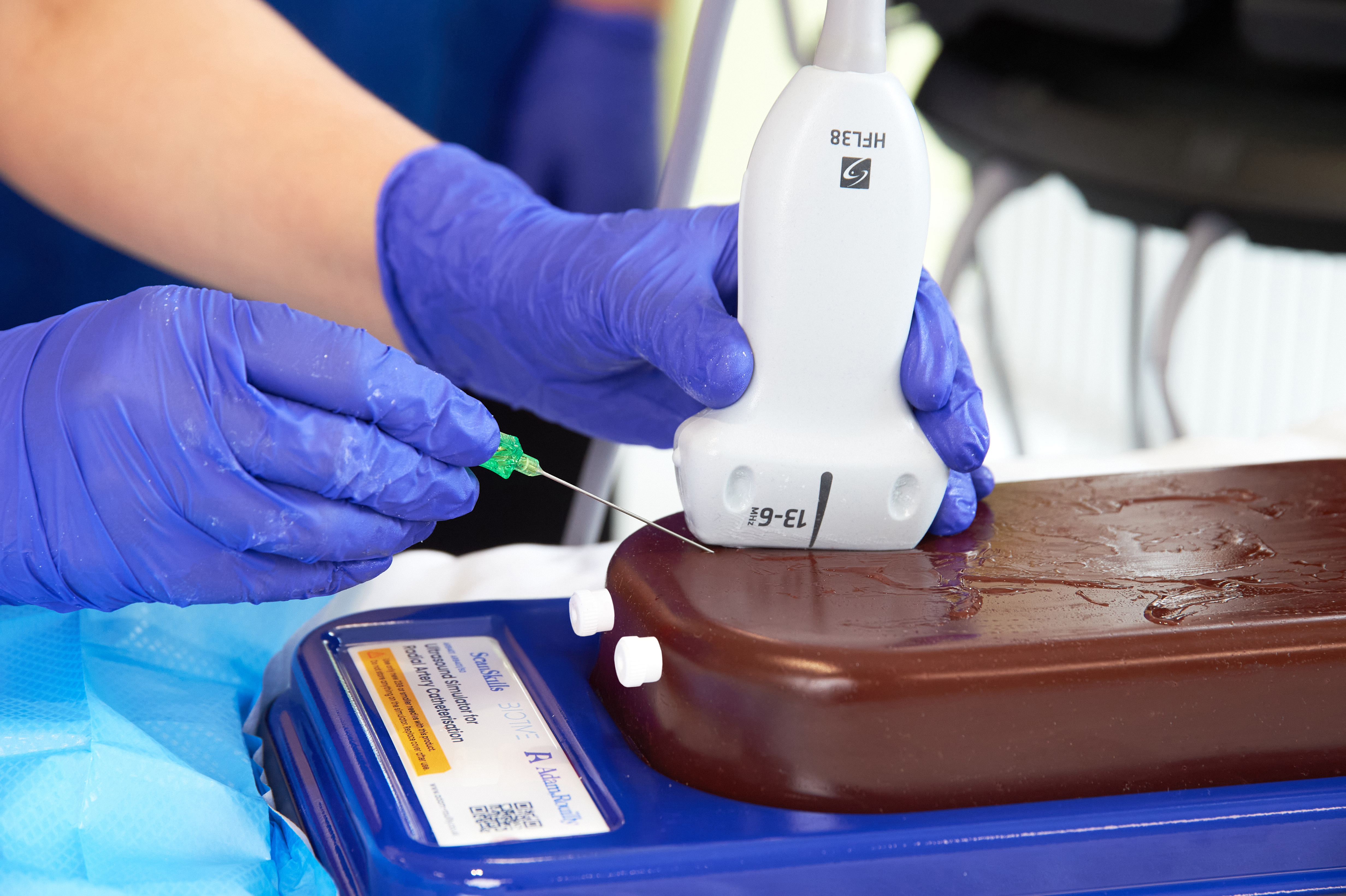 Femoral Access Ultrasound Simulator with Calcifications, Dark