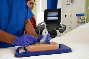 Femoral Access Ultrasound Simulator with Calcifications, Light