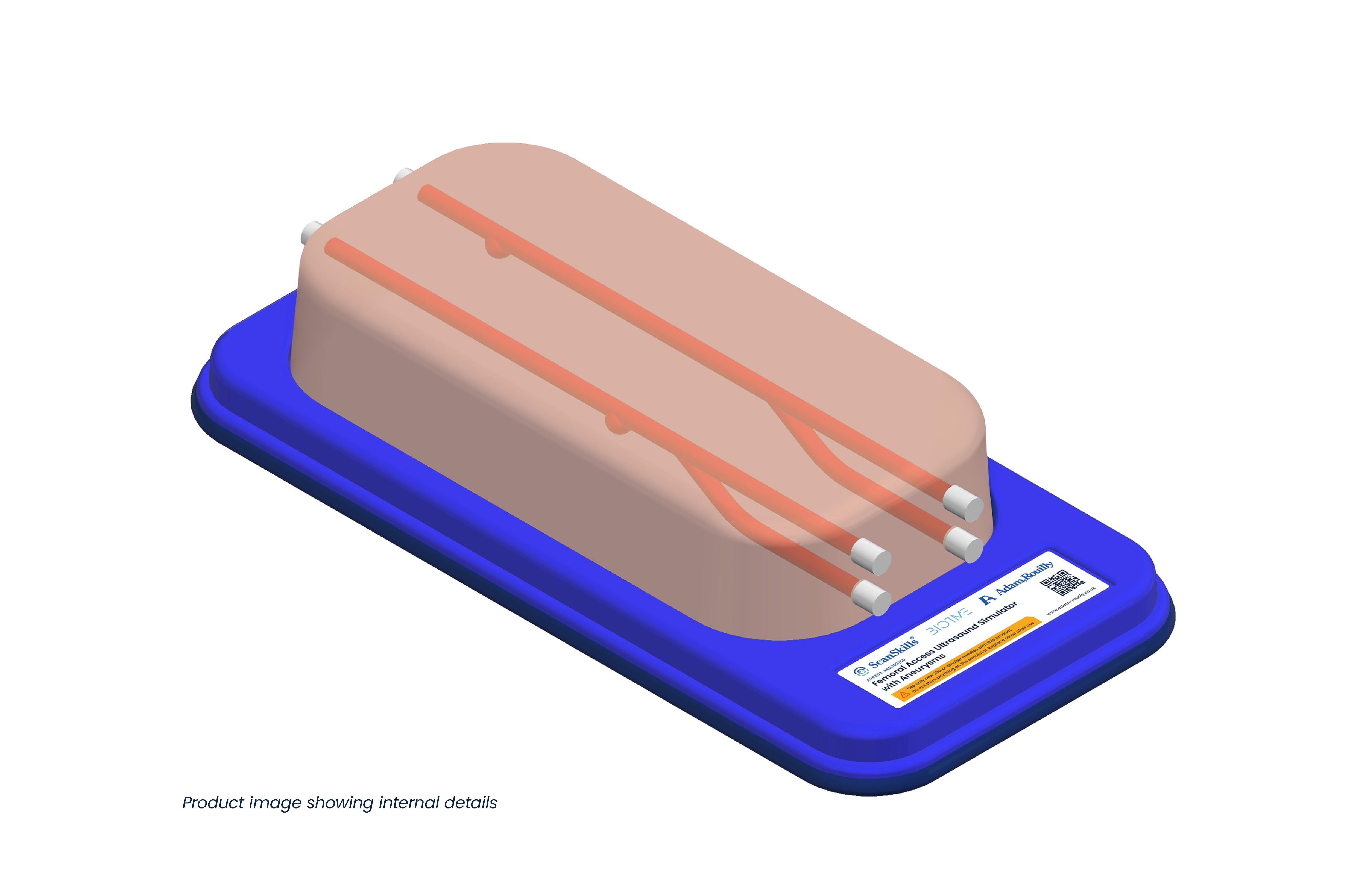 Femoral Access Ultrasound Simulator with Aneurysms, Light