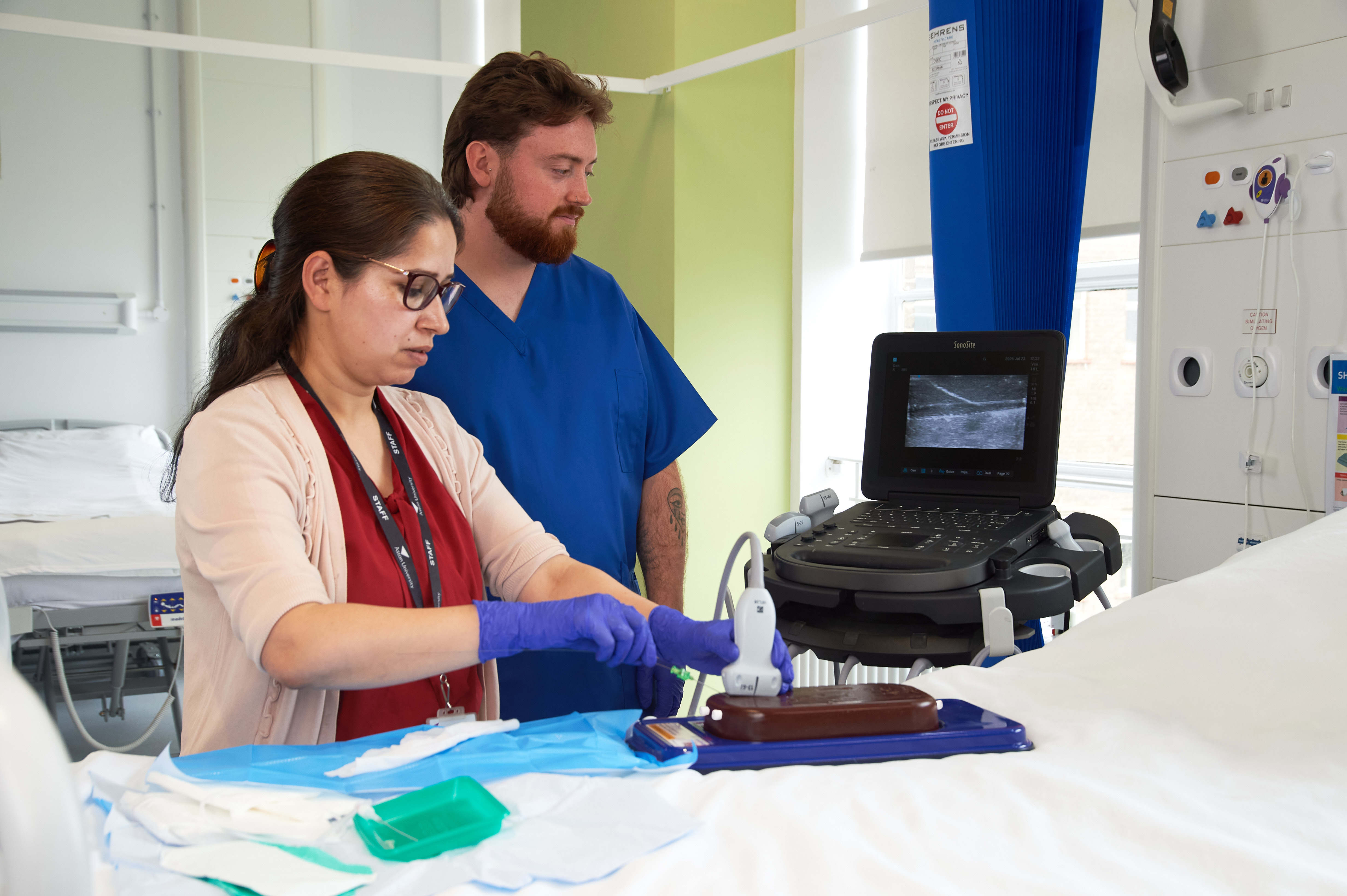 Femoral Access Ultrasound Simulator with Aneurysms, Dark