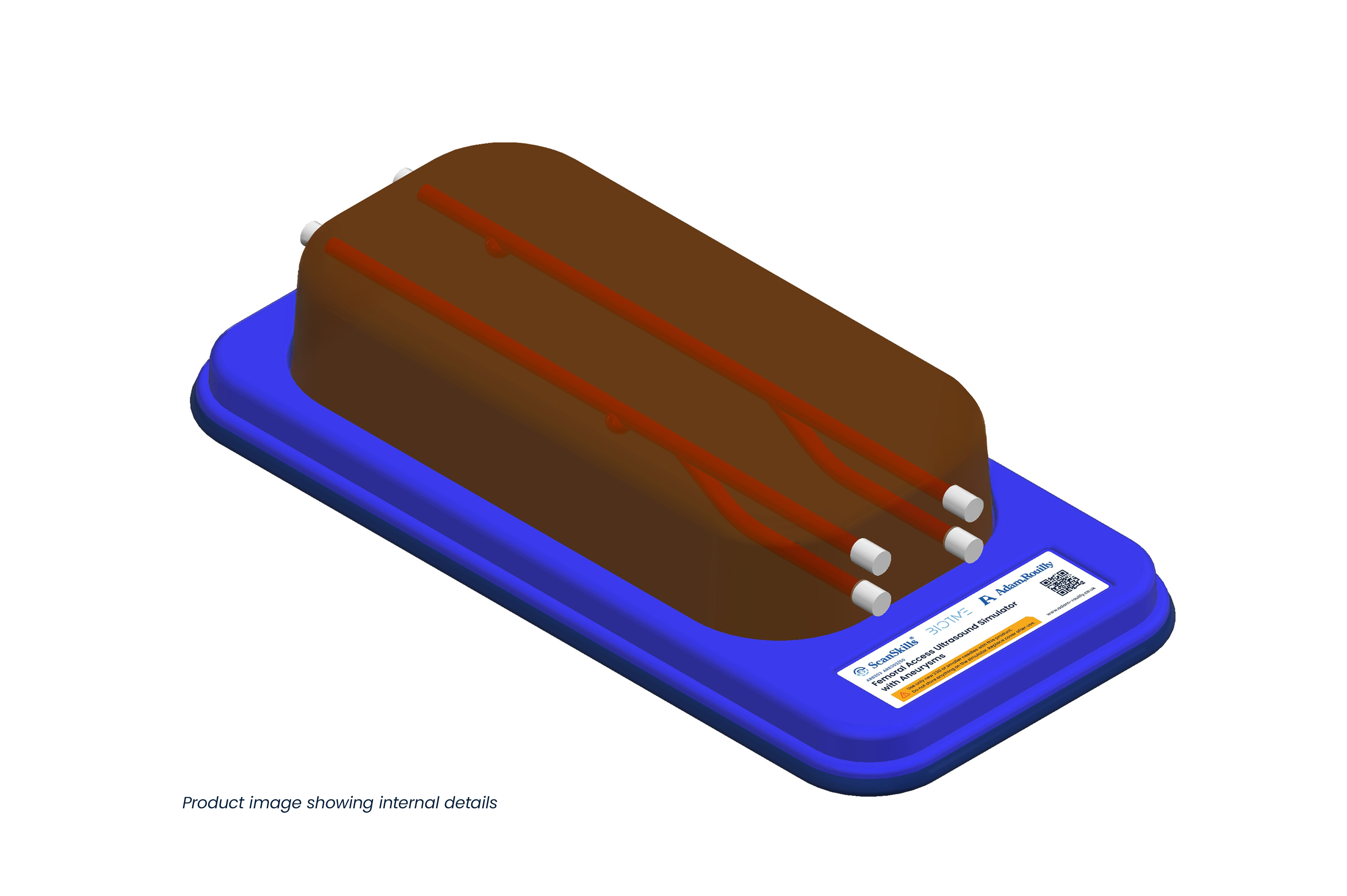 Femoral Access Ultrasound Simulator with Aneurysms, Dark