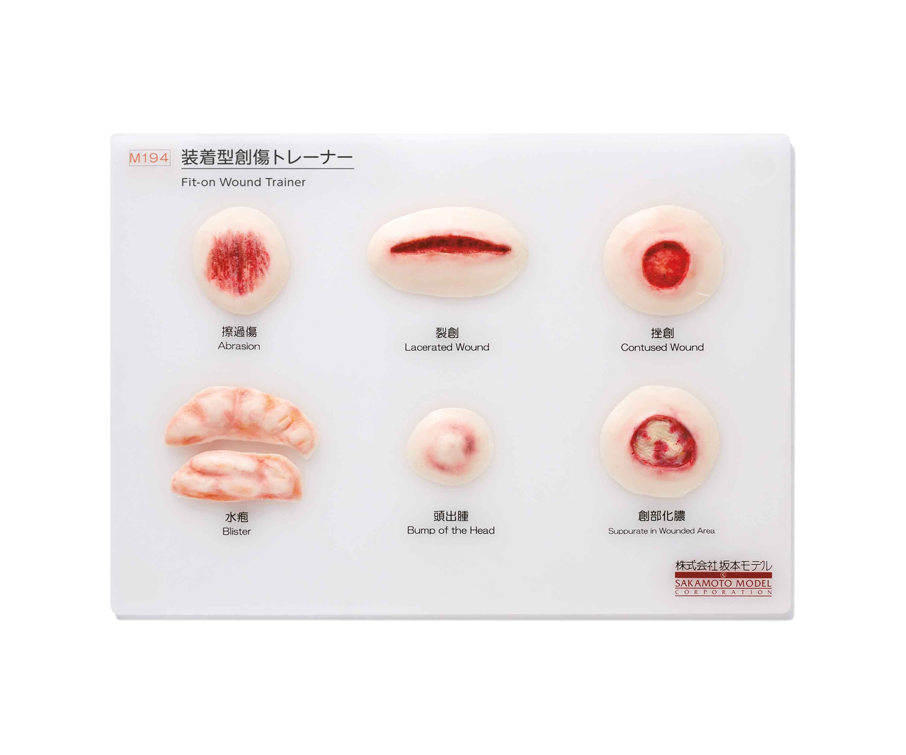 Wearable Wound Trainer, Light