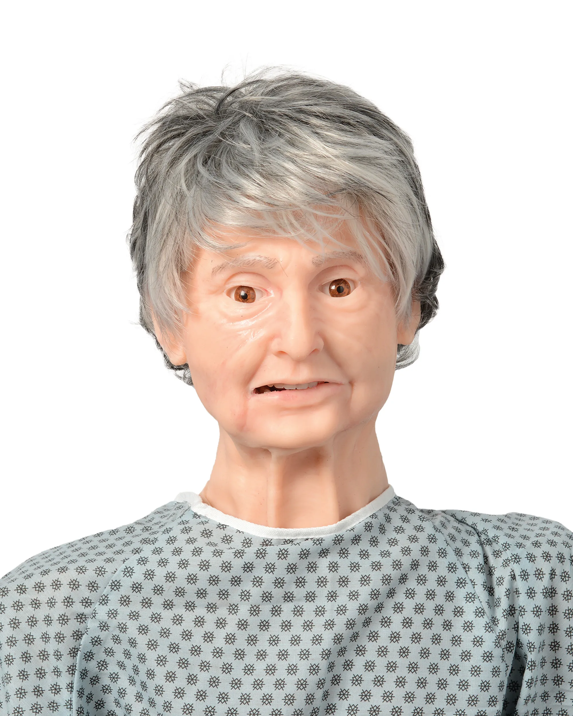TERi™ Elderly Patient Skills Trainer, Light