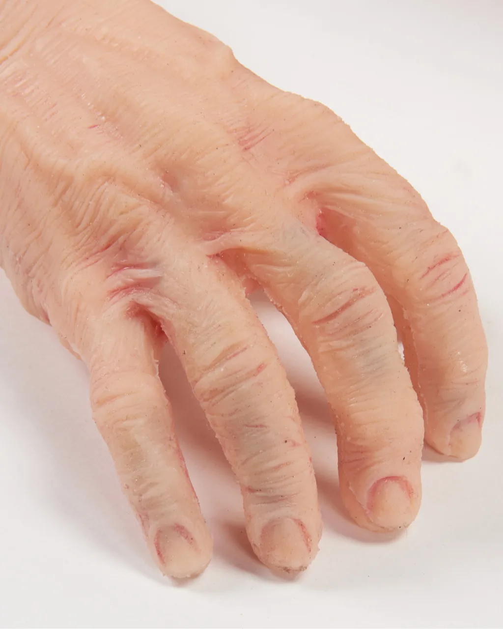 TERi™ Elderly Patient Skills Trainer, Light