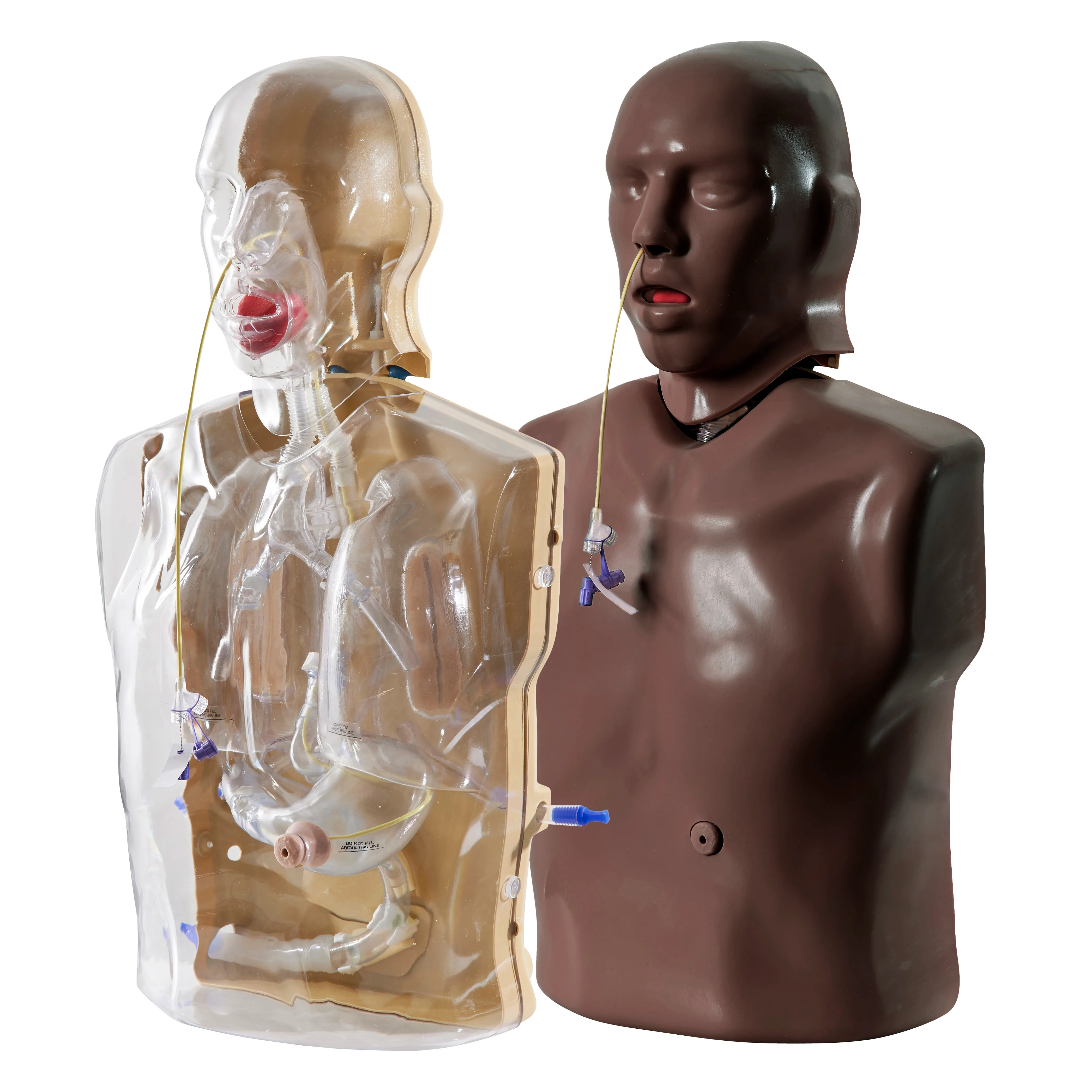 CorMan® – Adult Nasogastric/Nasojejunal Feeding Trainer, Dark