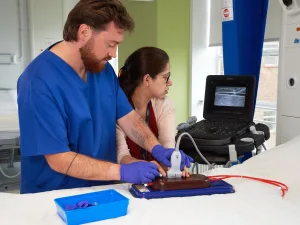 Best cost-effective simulation tools for medical educators in 2026