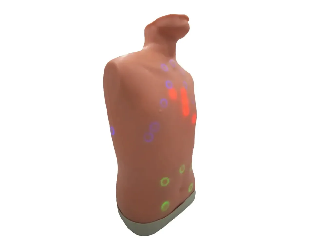 Auscultation Trainer 2.0, with Smartscope