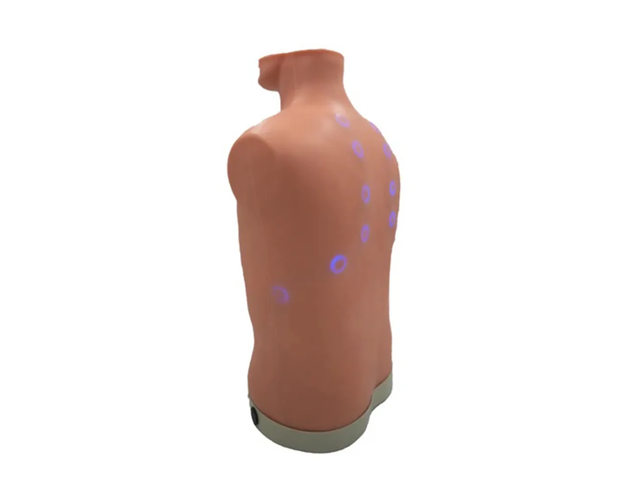 Auscultation Trainer 2.0, with Smartscope