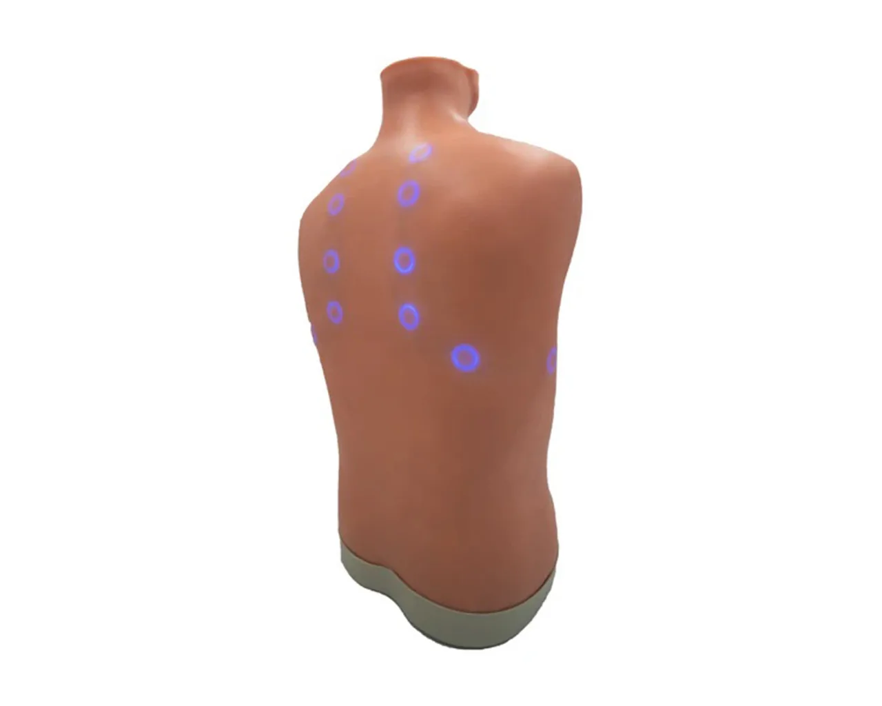 Auscultation Trainer 2.0, with Smartscope