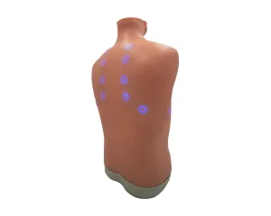 Auscultation Trainer 2.0, with Smartscope
