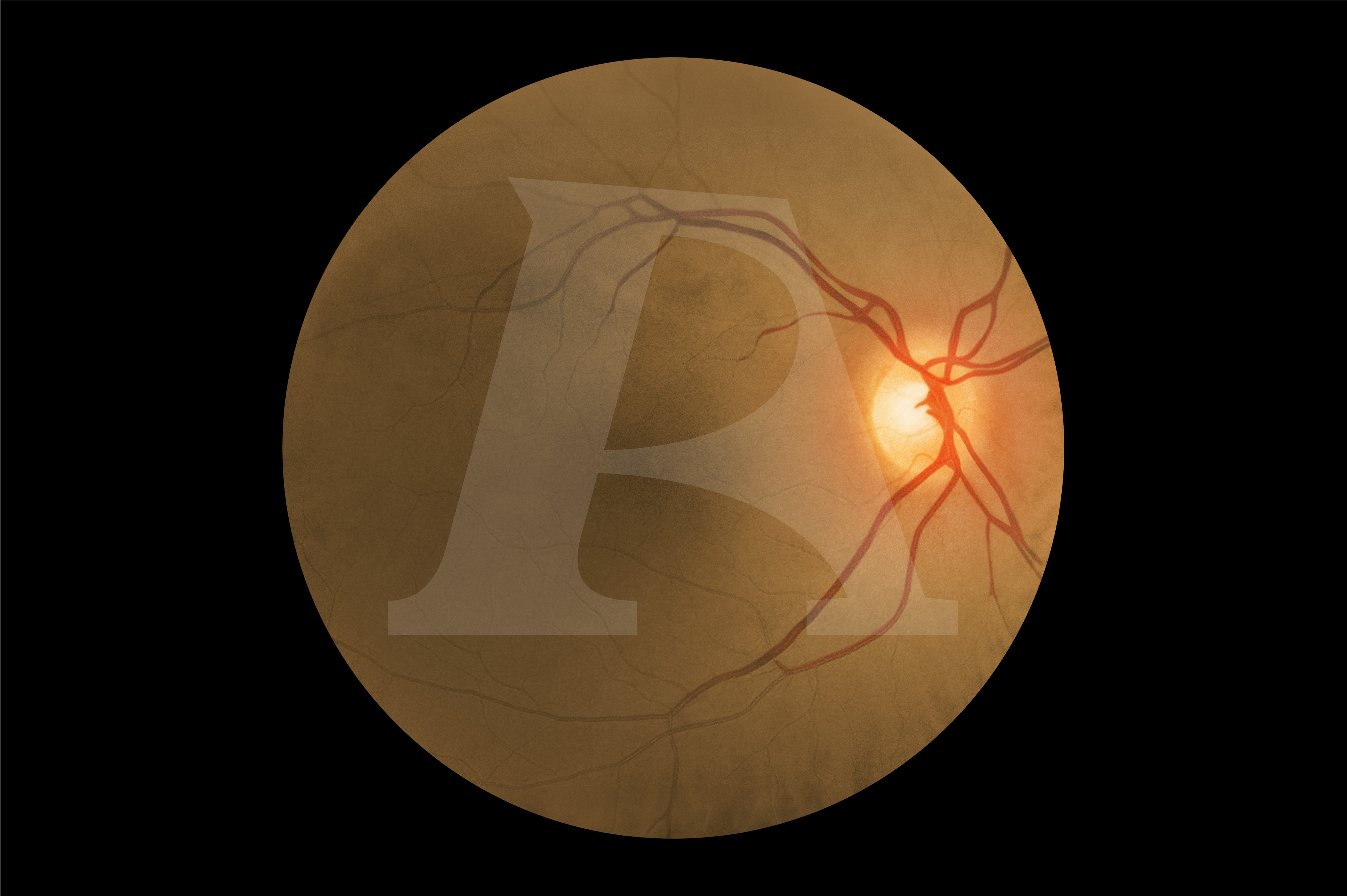 Enhanced Digital Eye Examination/Retinopathy Trainer, Dark