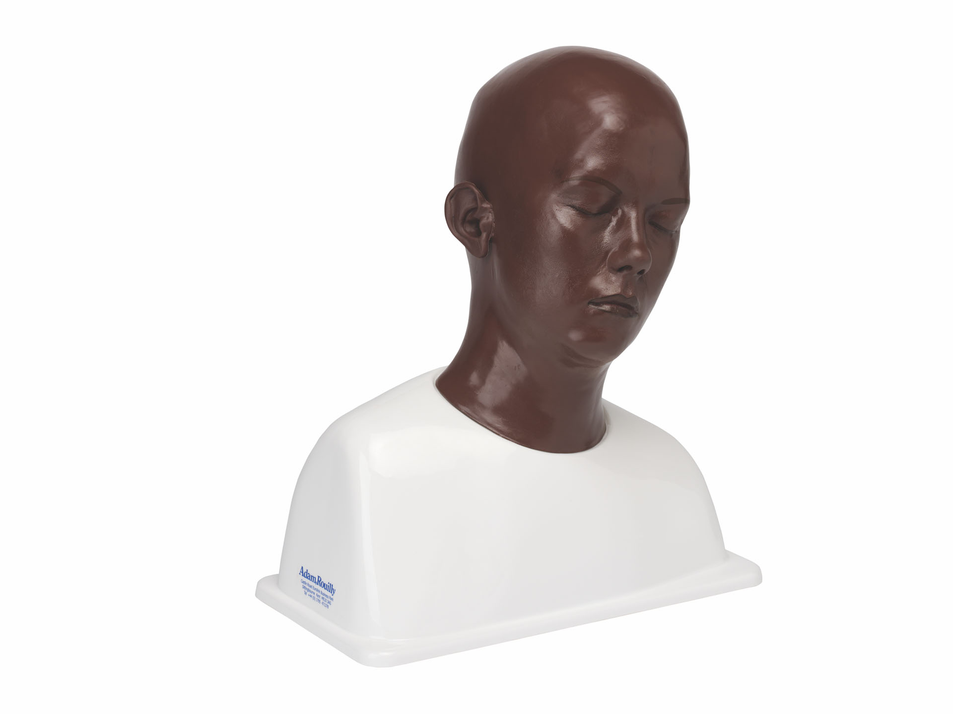 Ear Syringing Trainer, Dark