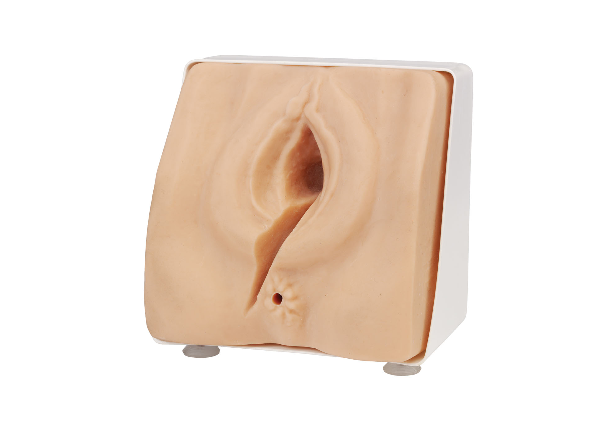 Episiotomy Suturing/Perineal Repair Trainer