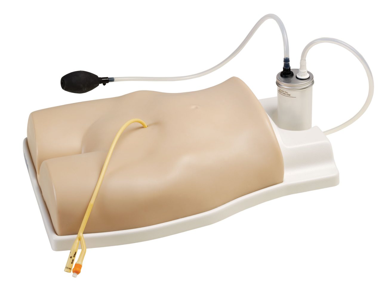 Suprapubic Training Model, Light