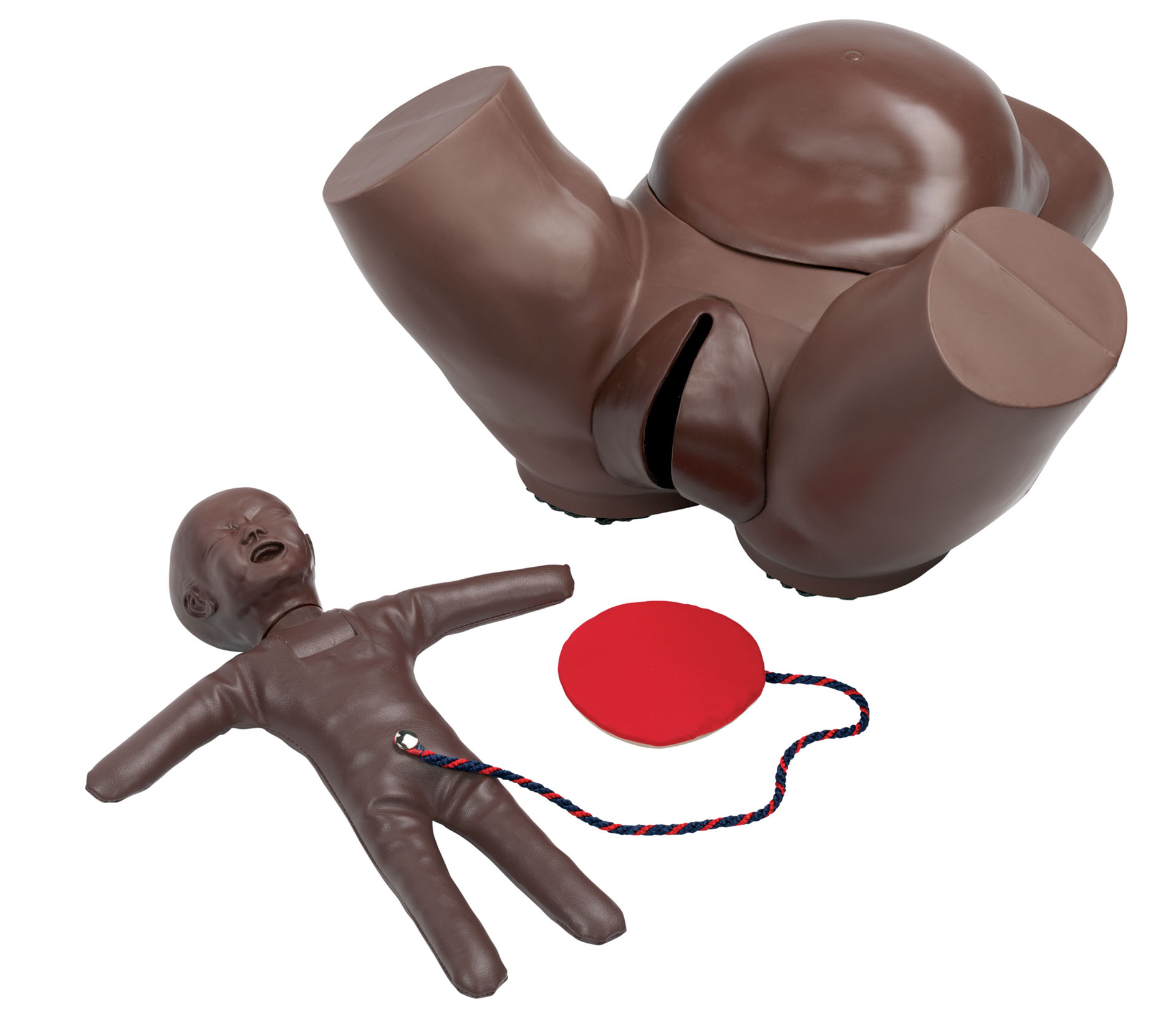 Obstetric Phantom With Fetal Doll, Dark