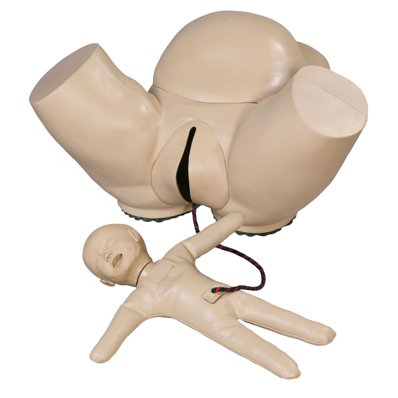 Obstetric Phantom With Fetal Doll, Light