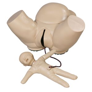 Obstetric Phantom With Fetal Doll, Light