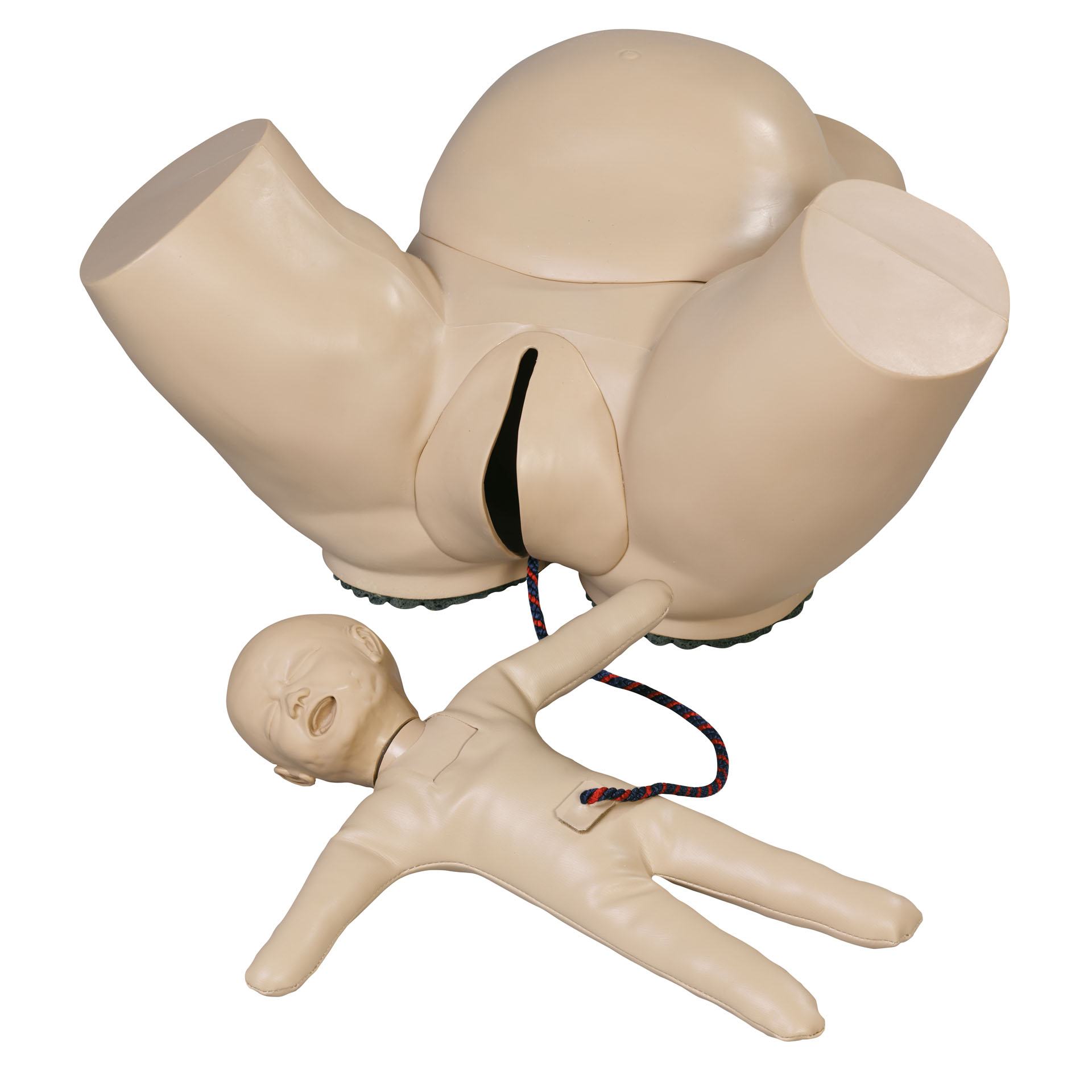 Obstetric Phantom With Fetal Doll, Light