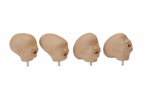 Fetal Doll With Four Heads, Light