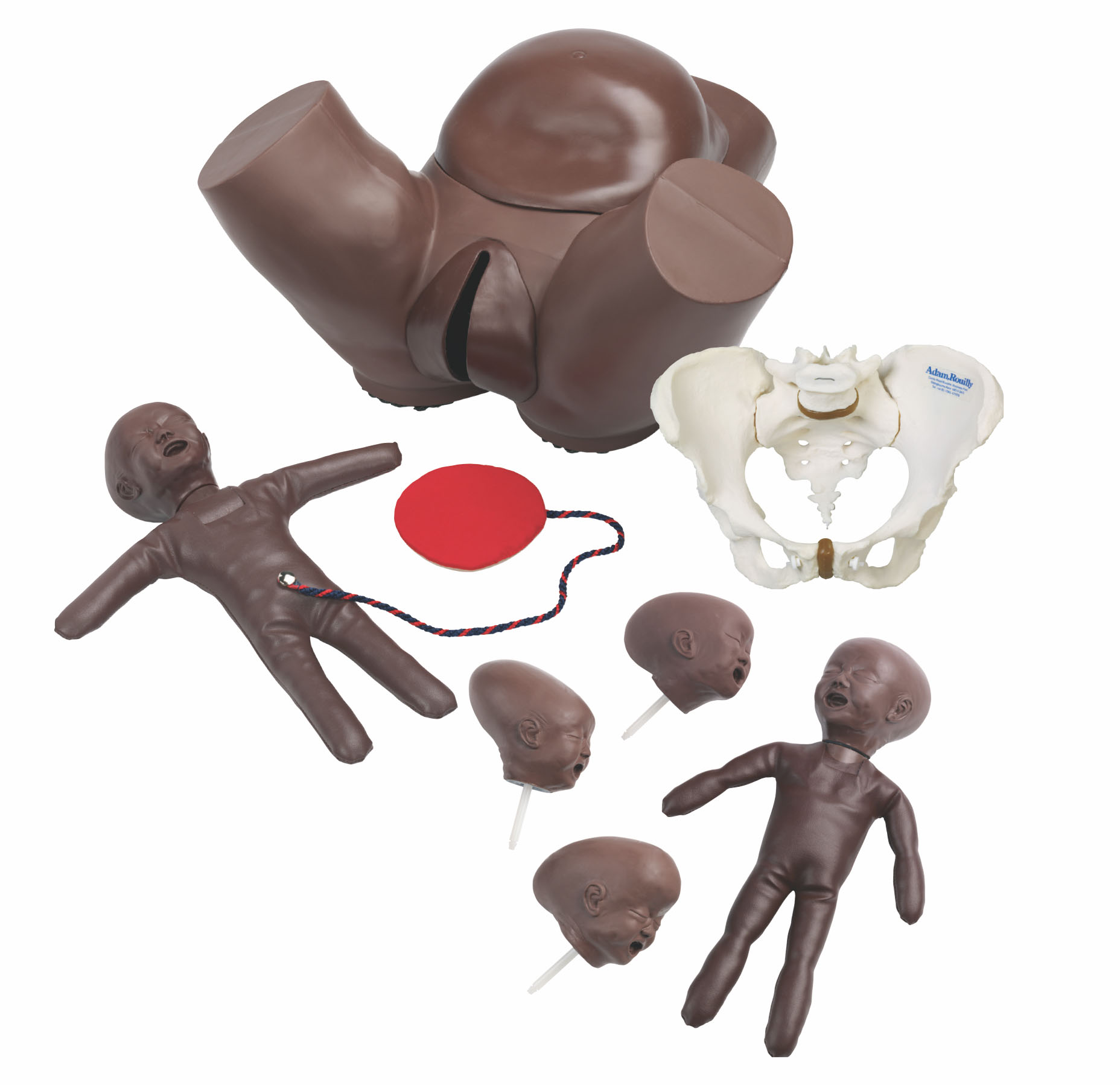 Obstetric Phantom Set, Dark