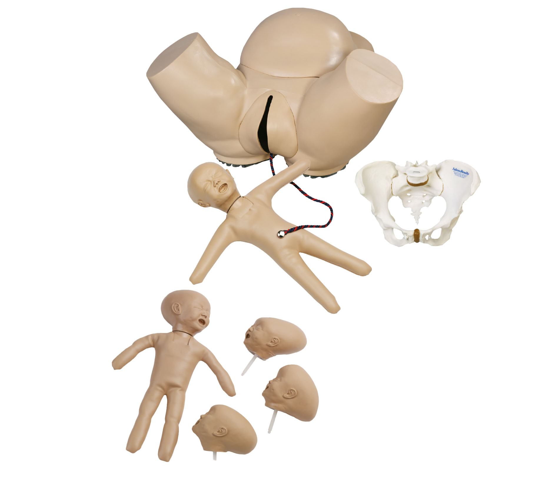 Obstetric Phantom Set, Light