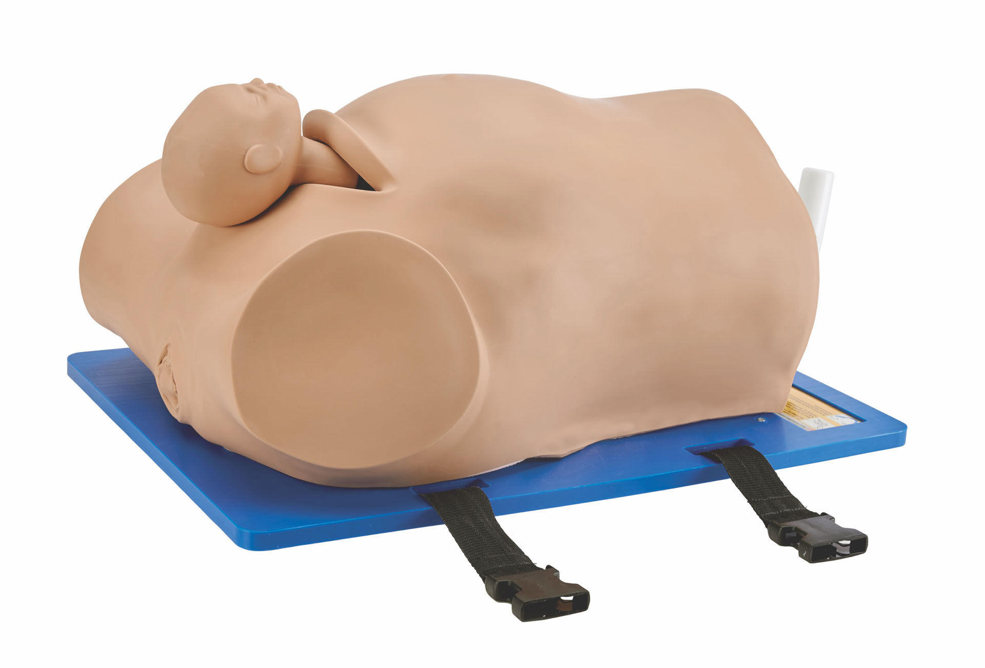 DISCONTINUED AR58 Desperate Debra® – Impacted Fetal Head Simulator