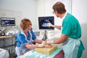 Amnio Abby® - Ultrasound Guided Invasive Procedures Simulator