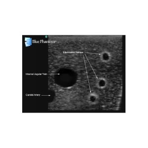 Gen II Central Line and Regional Anaesthesia Ultrasound Training Model With Hand Pump