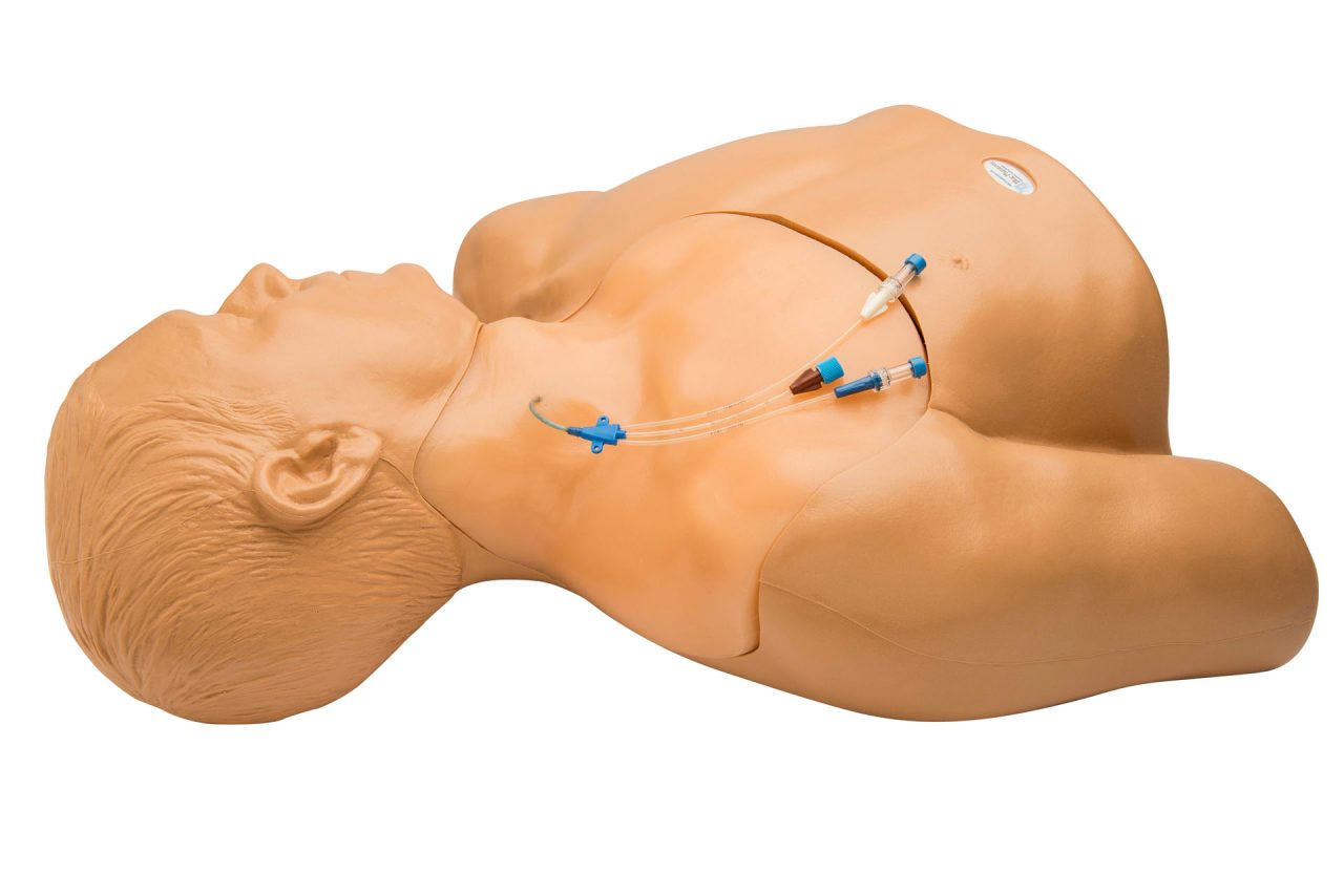 Gen II Central Line and Regional Anaesthesia Ultrasound Training Model With Hand Pump