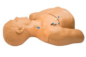 Gen II Central Line and Regional Anaesthesia Ultrasound Training Model With Hand Pump