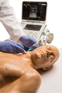 Gen II Central Line and Regional Anaesthesia Ultrasound Training Model With Hand Pump