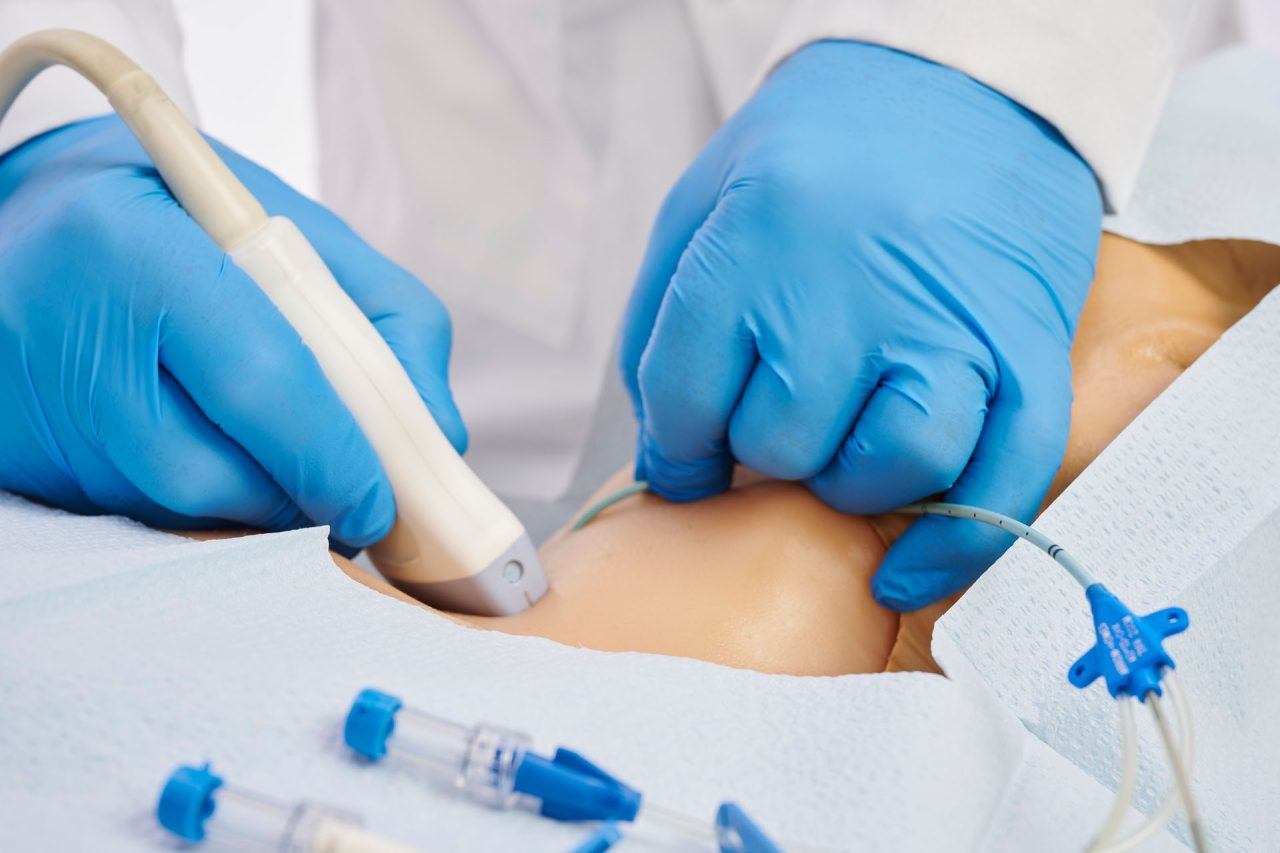 Gen II Central Line and Regional Anaesthesia Ultrasound Training Model With Hand Pump