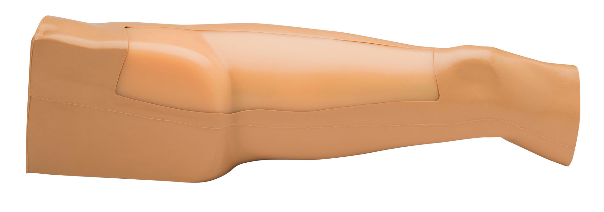 Leg Model With Femoral and Saphenous Vein Venous Access for Ultrasound Training, No DVT