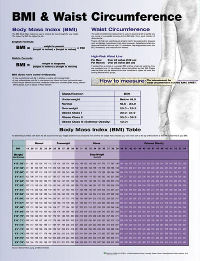 Bmi and Waist Circumference Chart