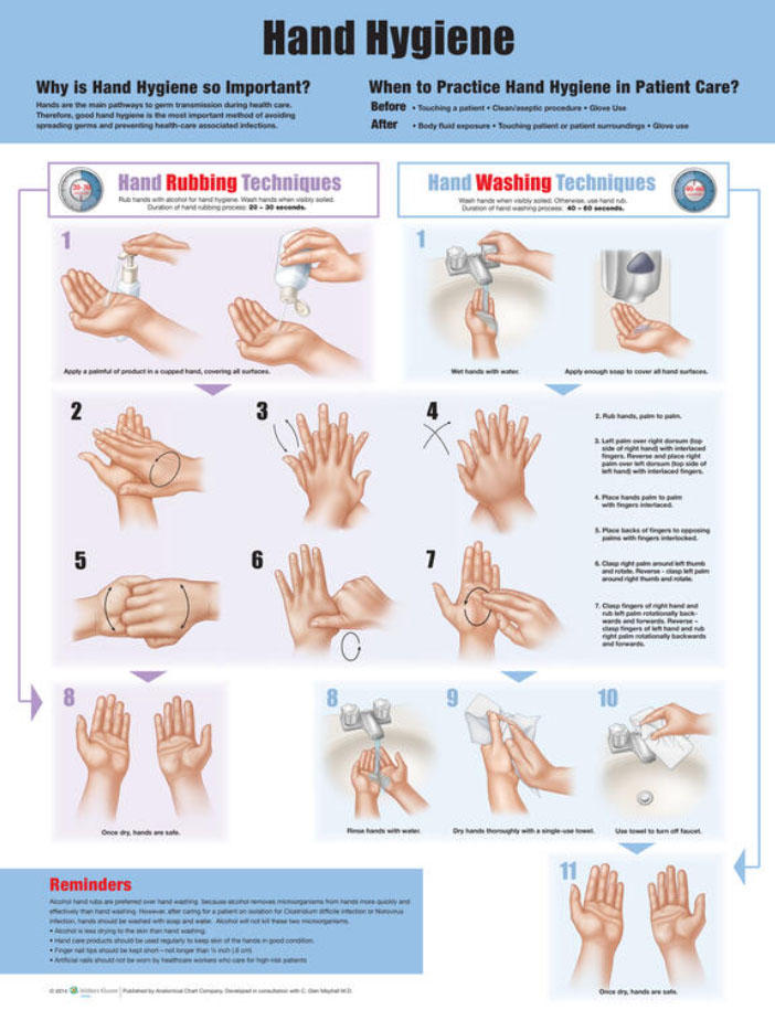 Hand Hygiene