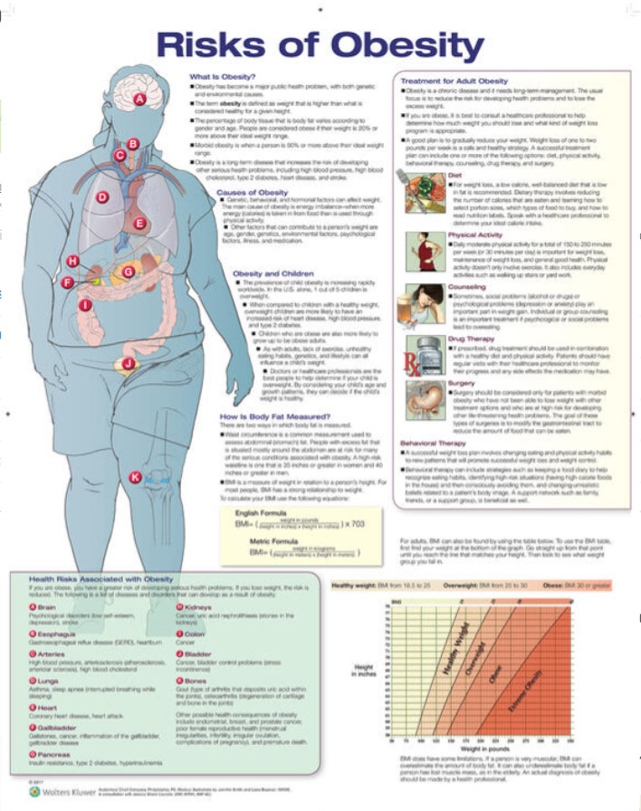 Risks of Obesity Chart