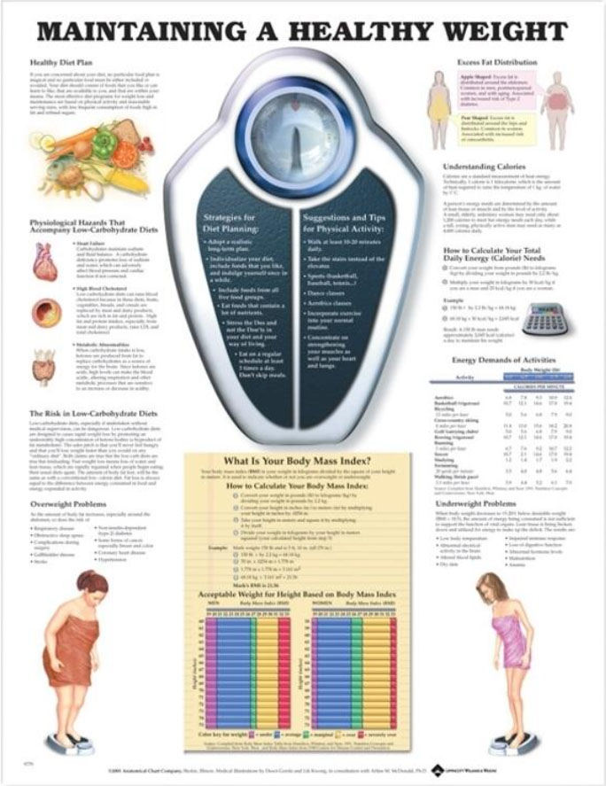 Maintaining a Healthy Weight Chart