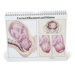 The Classic Series of Charts (22 Spiral Bound Charts)