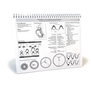 The Classic Series of Charts (22 Spiral Bound Charts)