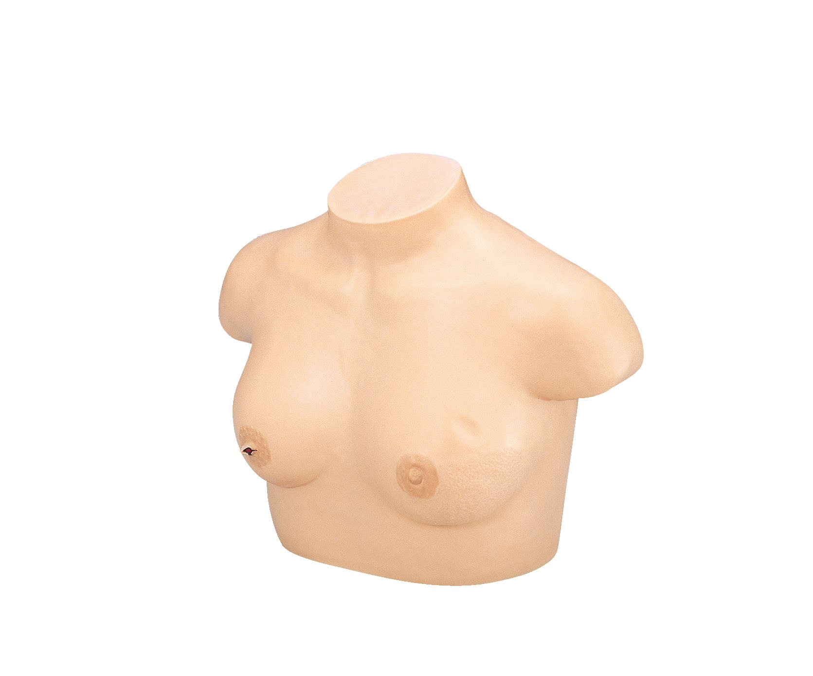 Breast Cancer Training Model