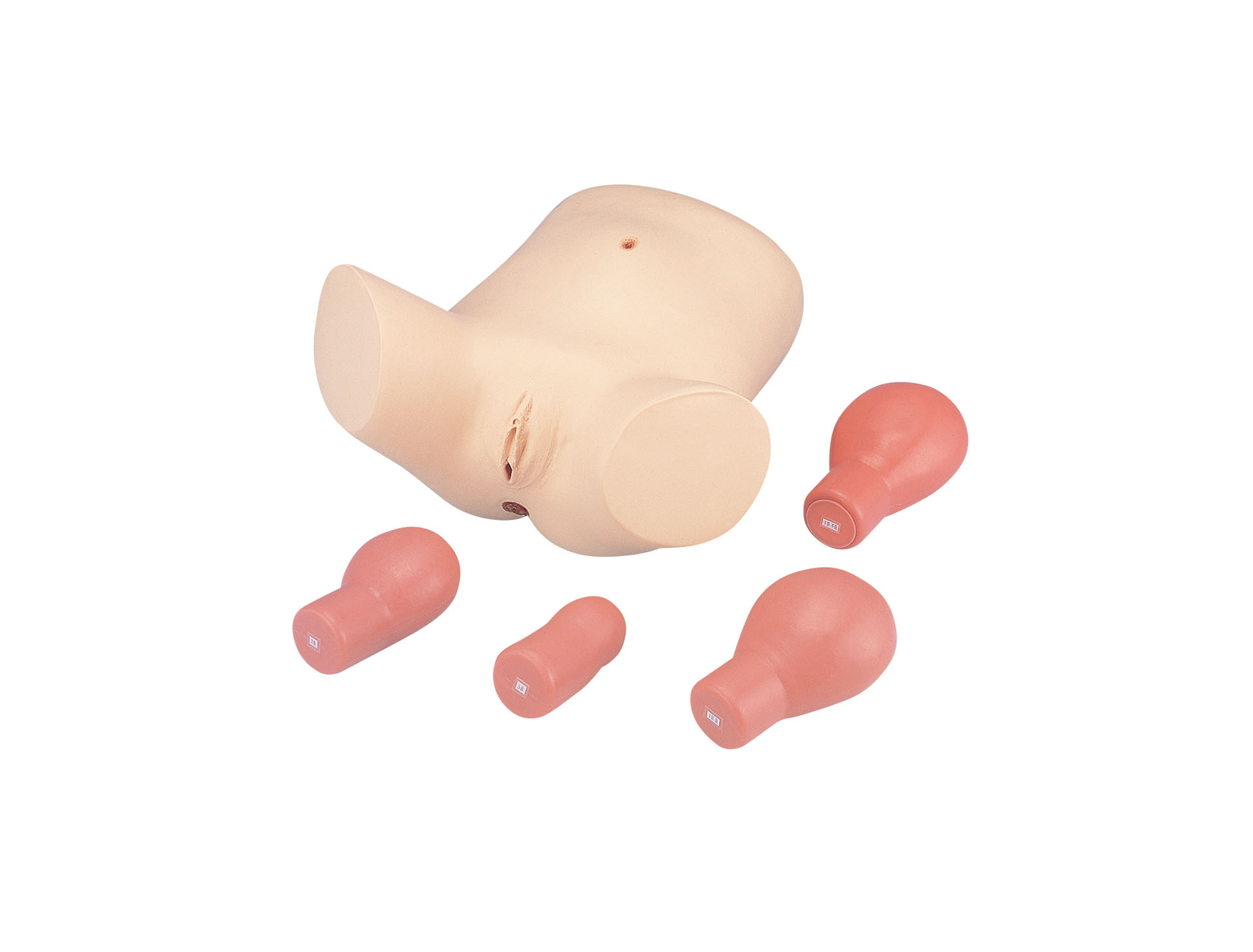 Puerperal Uterus Palpation Training Model