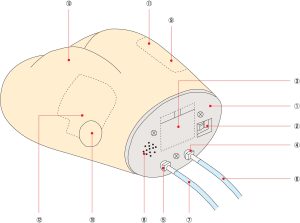 Ventrogluteal Intramuscular Injection Model