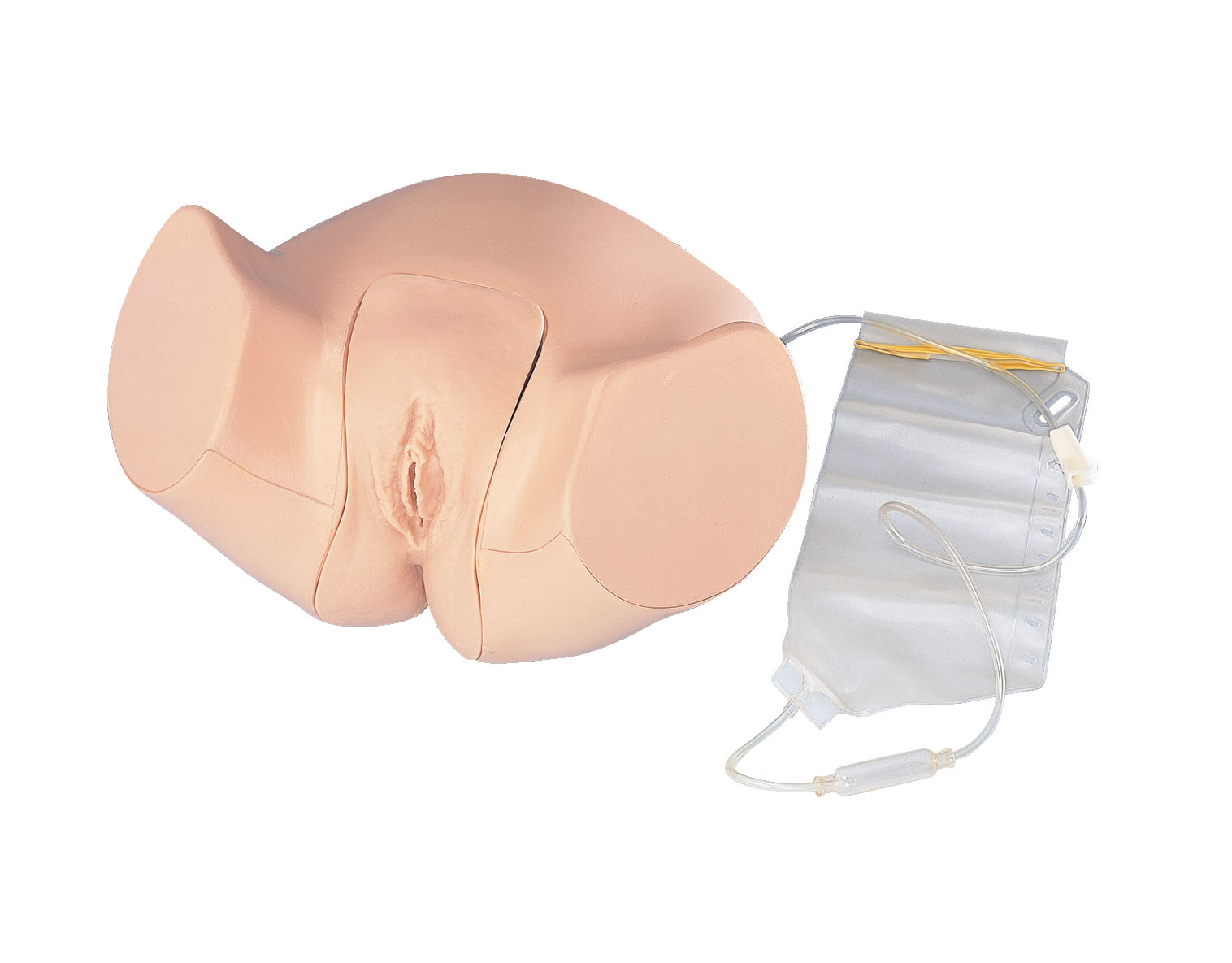 Urethral Catheterisation Model