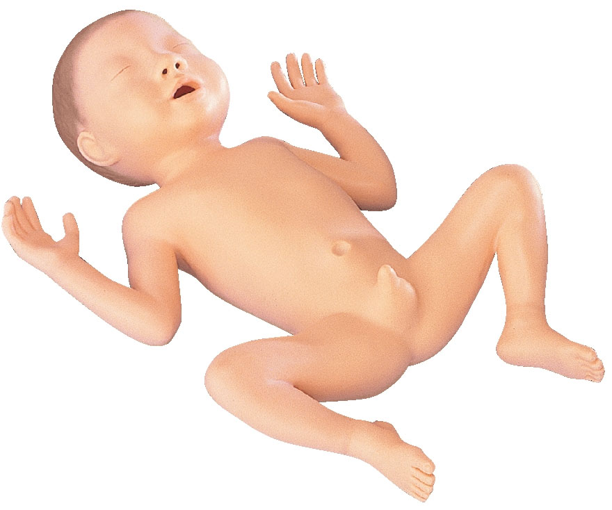 30 Week Premature Baby, Male – Light