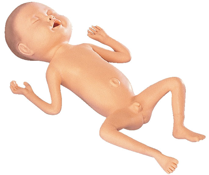 24 Week Premature Baby, Male – Light