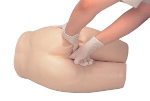 Faeces Removal and Enema Training Model
