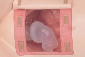 Faeces Removal and Enema Training Model