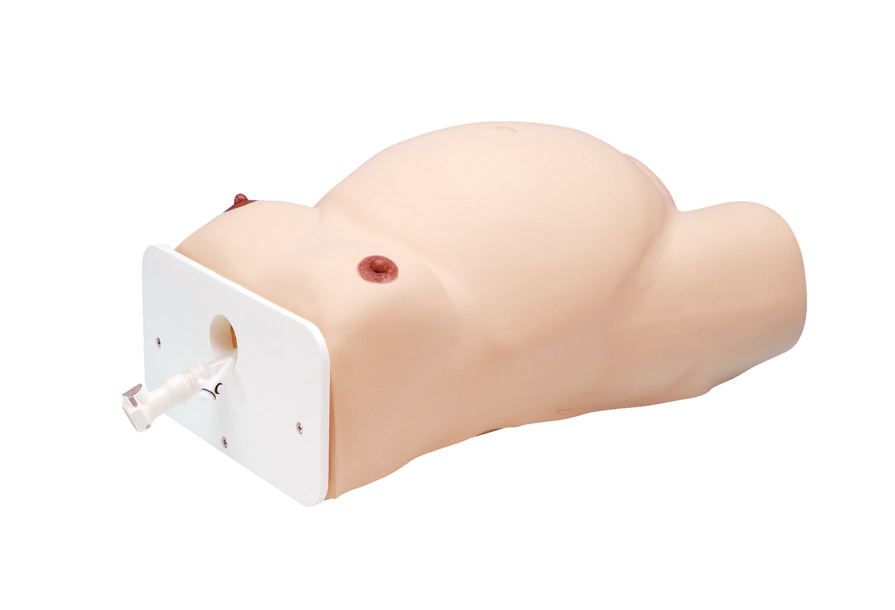 ECV (External Cephalic Version) Model